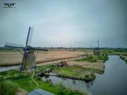 20250416 Kinderdijk