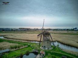 20250416 Kinderdijk
