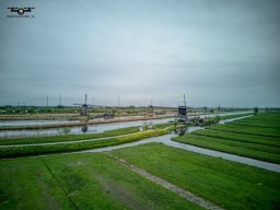 20250416 Kinderdijk